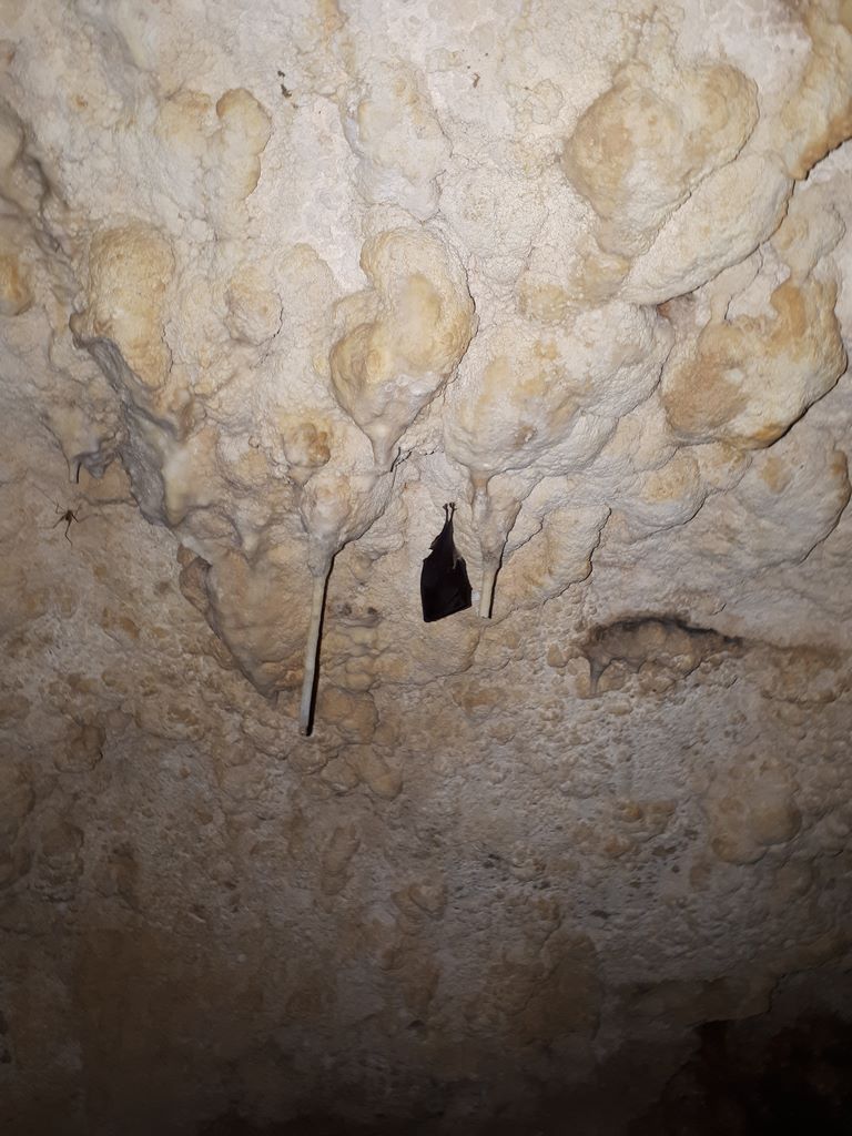 Grotte des fees 10.jpg